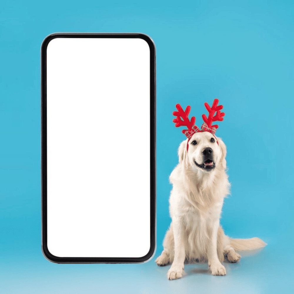 Case-Study-nyc-pet-trainer-Targeted-Meta-Ads-image
