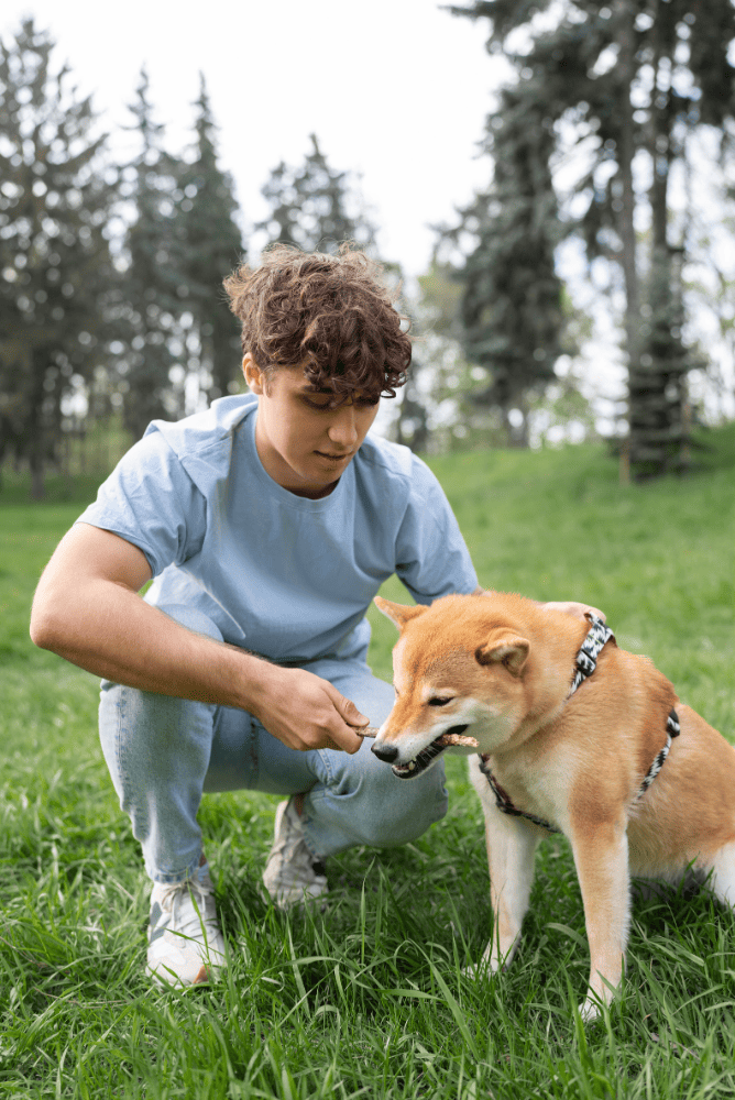Case-Study-nyc-pet-trainer-portrait