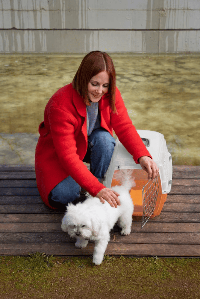 Case-Study-pawsitive-progress-portrait-image